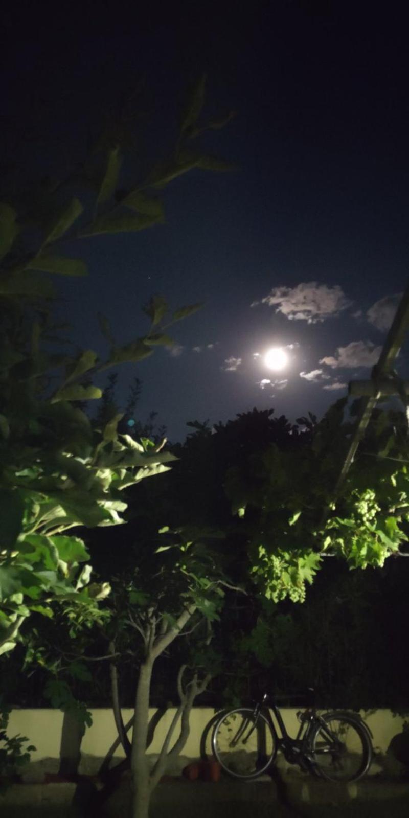 Morska Zvezda Guest House Chernomorets Esterno foto